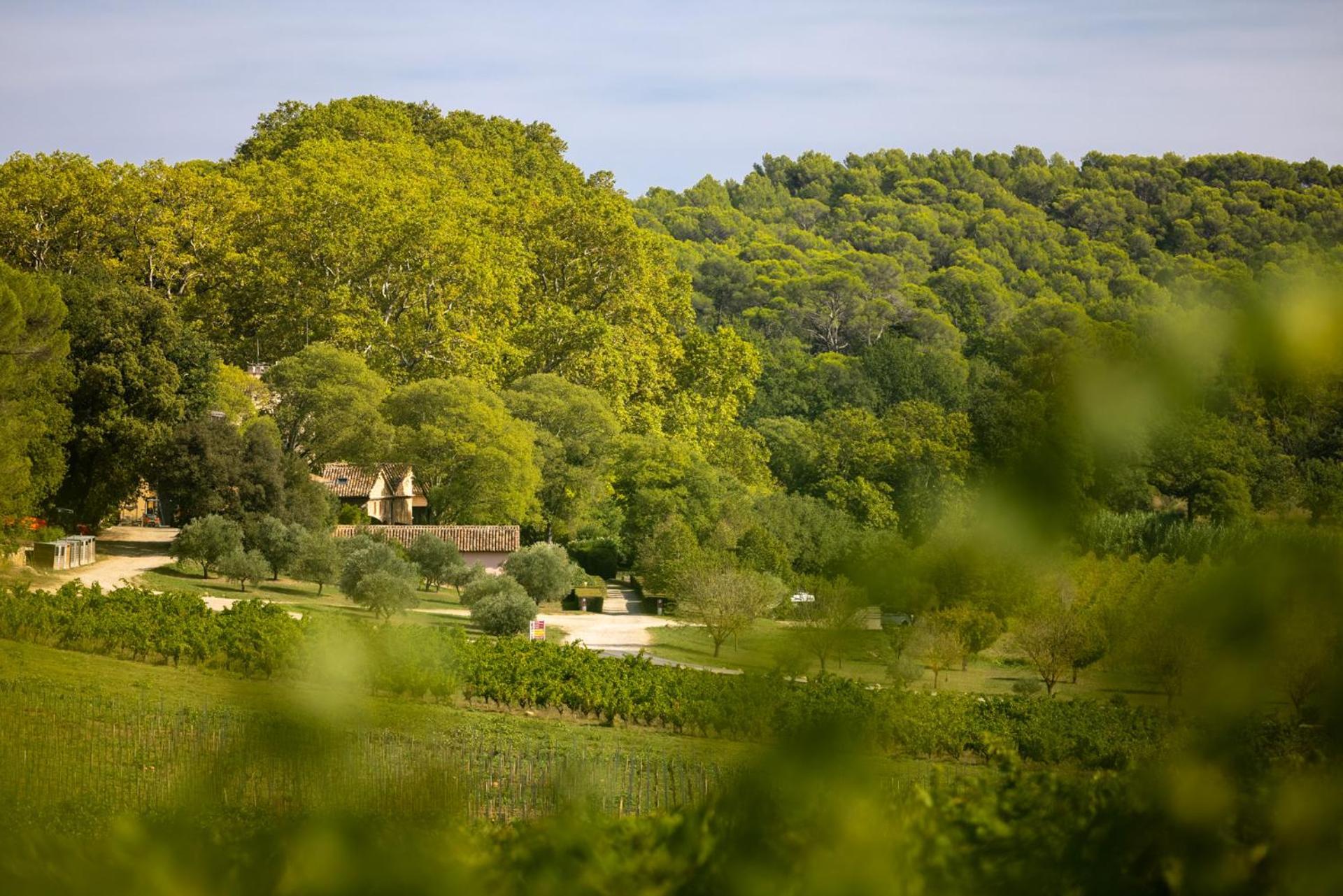 Chateau Mentone Masseboeuf Esterno foto