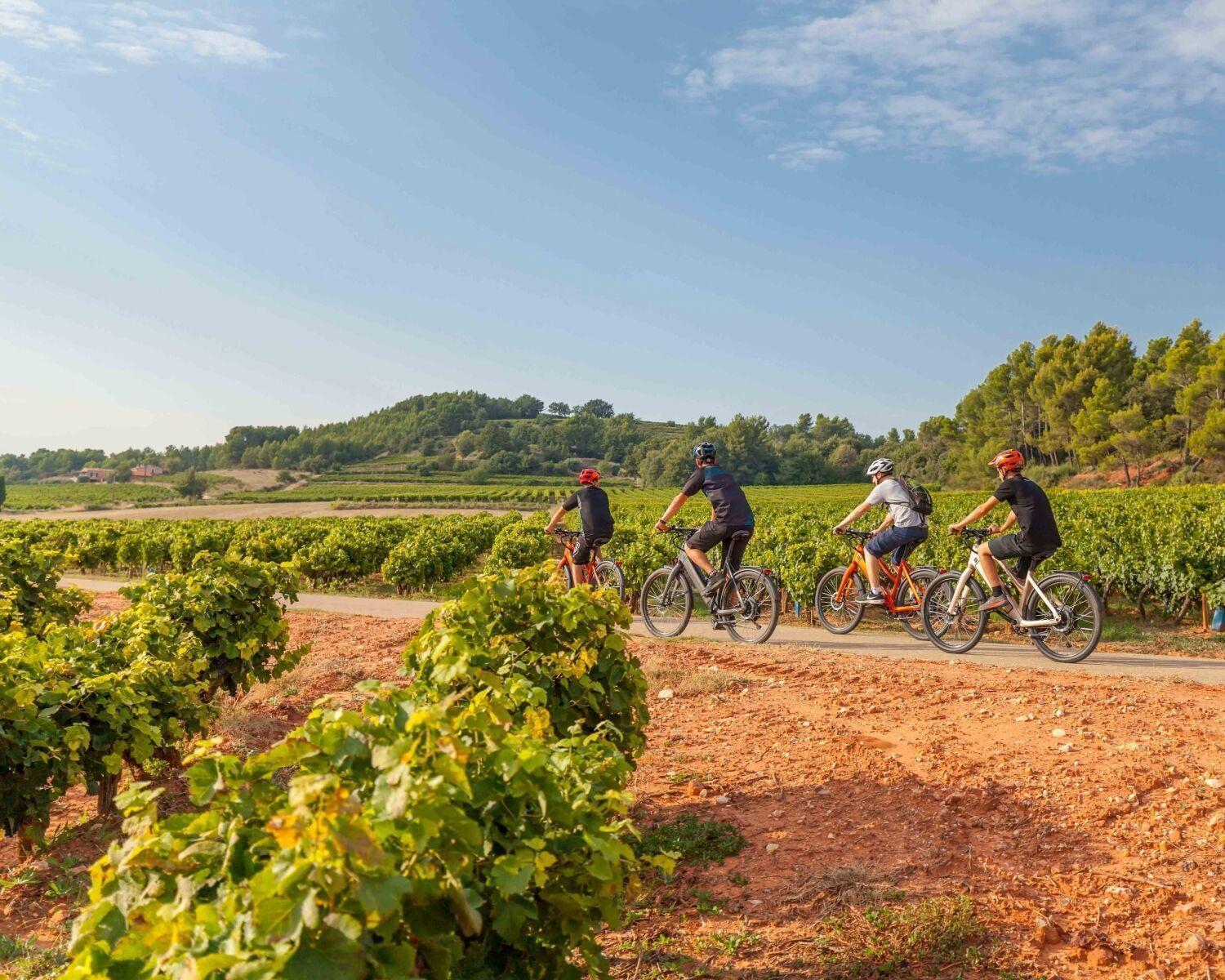Chateau Mentone Masseboeuf Esterno foto