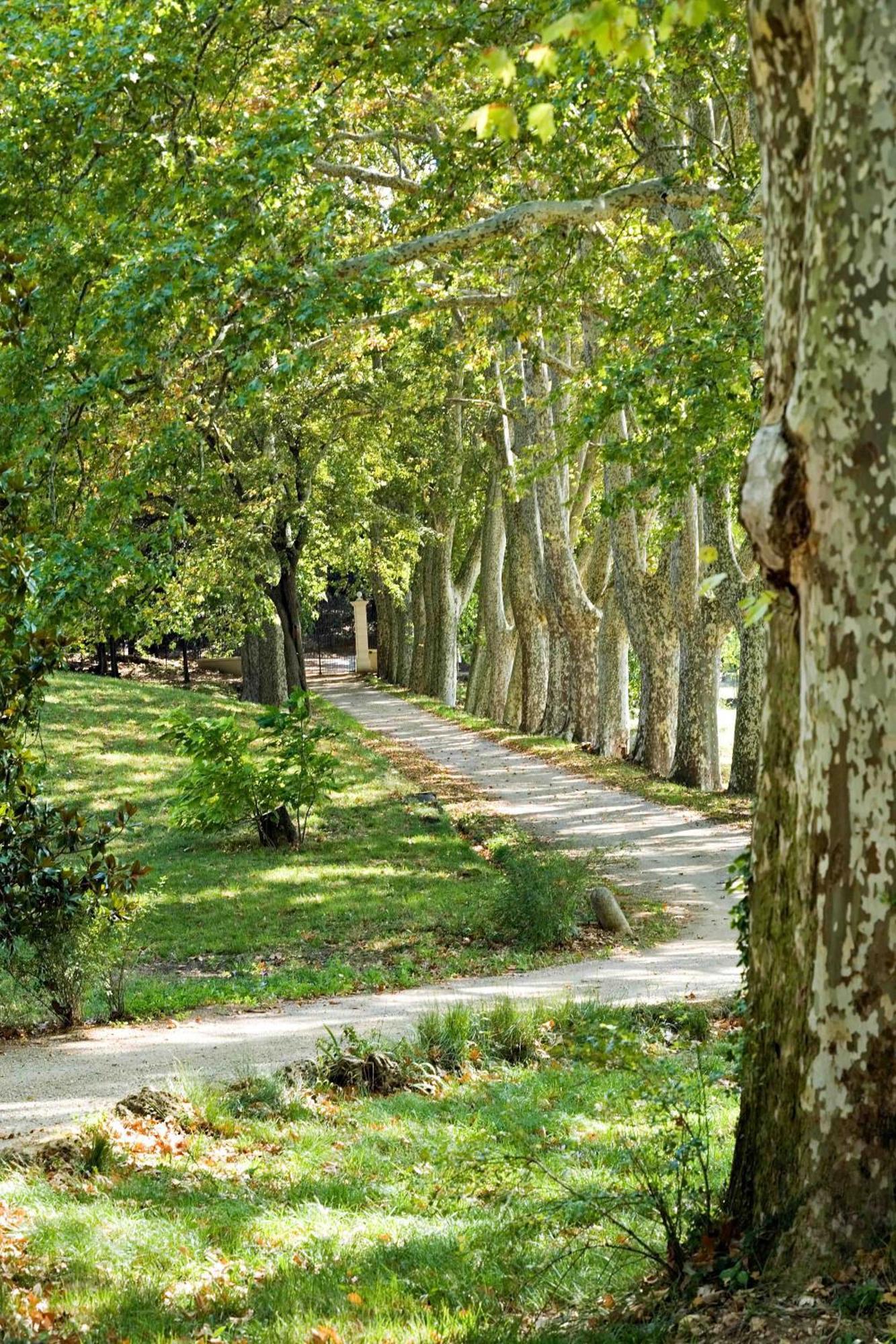 Chateau Mentone Masseboeuf Esterno foto